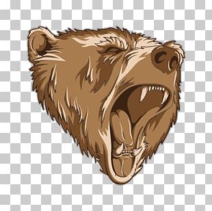 Polar Bear Grizzly Bear PNG, Clipart, Angry, Angry Bear, Animals, Bear ...