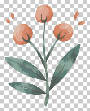 Cartoon - Simple Flower Plant Cartoon Illustration PNG