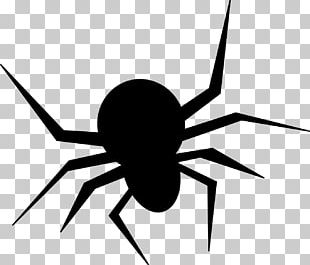 Insect Spiders Pest PNG, Clipart, Animal, Animals, Armored, Beetle ...