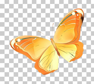 Monarch Butterfly PNG