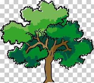 tree clipart free