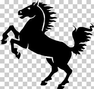 Mustang Friesian Horse Rearing PNG