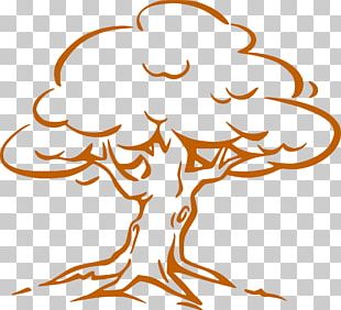 Tree Outline Oak PNG
