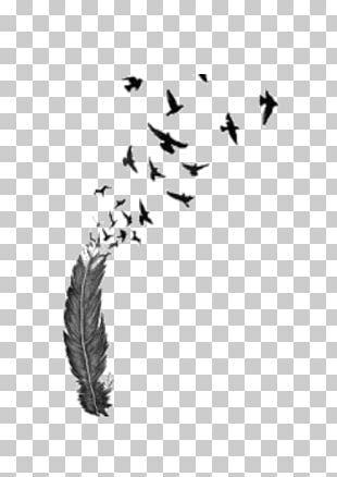 Feather Tattoo PNG Images Feather Tattoo Clipart Free Download