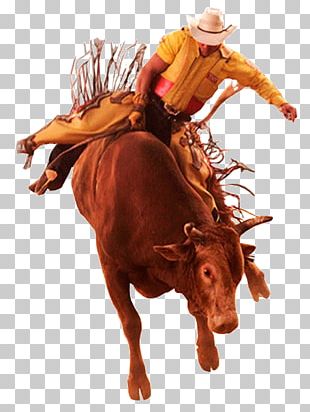 Cody Night Rodeo PNG and Cody Night Rodeo Transparent Clipart Free  Download. - CleanPNG / KissPNG