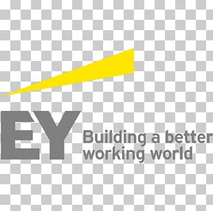 Ernst & Young Business Financial Adviser Tax Assurance Services PNG