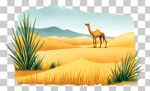 Western Sahara Desert - Desert With Camel PNG
