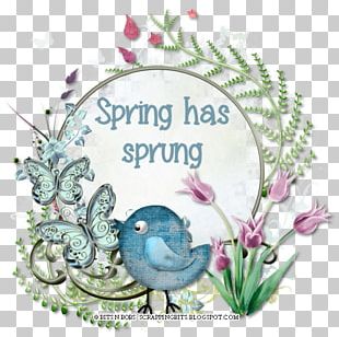 Flower Art Floral Design PNG