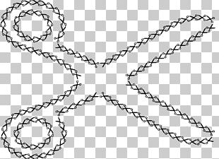 Fractal Sierpinski Triangle Sierpinski Carpet Self-similarity PNG