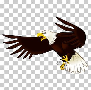 Eagle Euclidean PNG, Clipart, Art, Artwork, Bald Eagle, Beak, Bird Free ...