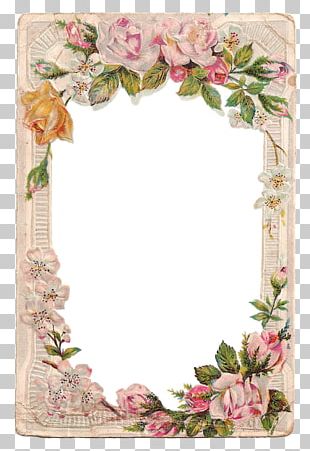 Frames Rose Flower PNG, Clipart, Artificial Flower, Cut Flowers ...