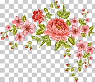 Azalea Plant Shrub Tree PNG, Clipart, Annual Plant, Azalea, Bright Pink ...