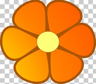 Orange Flowers PNG Images, Orange Flowers Clipart Free Download