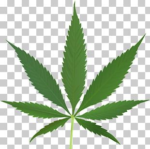 Medical Cannabis Leaf Tetrahydrocannabinol Cannabis Sativa PNG