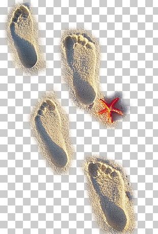 Sand Beach PNG, Clipart, Angle, Background, Beach, Circle, Download ...