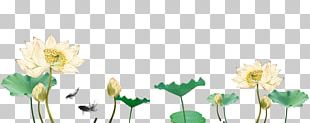 Graphic Design Template PNG
