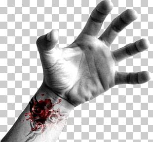 Human Body Finger Arm PNG