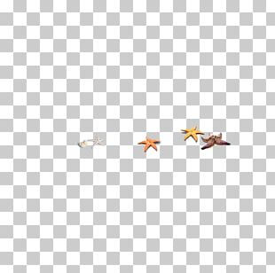 Area Pattern PNG