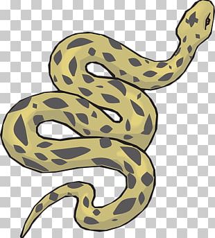 Anaconda Png Images Anaconda Clipart Free Download