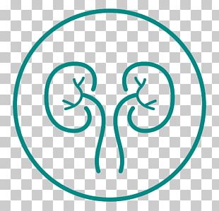 Urology General Surgery Medicine Medical Diagnosis PNG