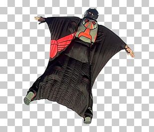 Wingsuit Flying Parachuting Parachute BASE Jumping Tandem Skydiving PNG