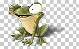 True Frog Tree Frog PNG, Clipart, Adobe Illustrator, Amphibian, Animals ...