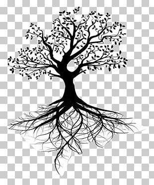 Tree Of Life Vision PNG, Clipart, Clip Art, Tree Of Life Vision Free ...