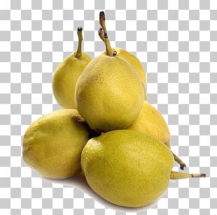 Pear Fruit Vegetable Food Child PNG, Clipart, Berry, Blackberry, Child ...