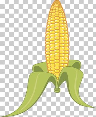 Corn On The Cob Candy Corn Maize PNG, Clipart, Candy Corn, Clip Art ...