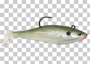 Z Man Fishing Products Inc Soft Plastic Bait Fishing Baits & Lures PNG,  Clipart, Angling, Area, Bait, Bait Fish, Brand Free PNG Download