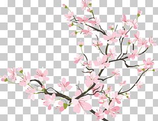 Cherry Blossom Drawing PNG, Clipart, Area, Blossom, Blossoms, Blossoms ...