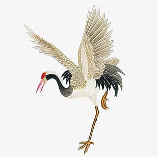 Cartoon Painted Red-crowned Crane PNG, Clipart, Animal, Cartoon Clipart ...