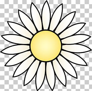 Common Sunflower Drawing White Black PNG, Clipart, Black, Black And ...