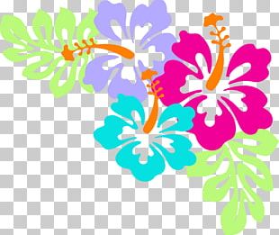 Hawaii Flower Hibiscus PNG, Clipart, Black And White, Clip Art, Desktop ...