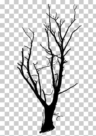 Dead Tree Branches Material 098 PNG, Clipart, 098 Clipart, Branches ...