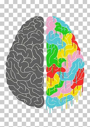 Lateralization Of Brain Function Cerebral Hemisphere Human Brain ...