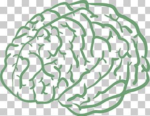 Human Brain Drawing Cartoon Agy PNG