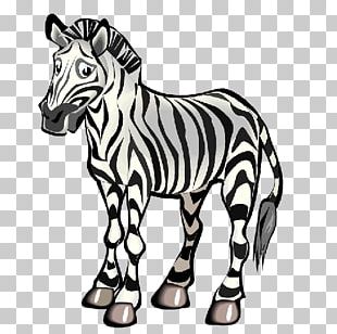 Animation Desktop PNG
