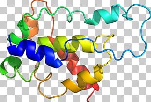 Organism Line PNG