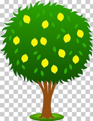 mango tree drawing for kids
