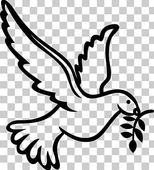 Bible Holy Spirit Columbidae Doves As Symbols PNG, Clipart, Abrahamic ...