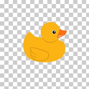 Little Yellow Duck Project American Pekin Computer Icons PNG, Clipart ...