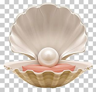 pearl png