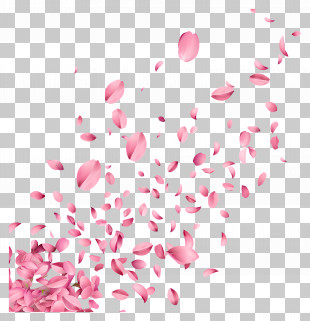 Falling Flowers - Scattered Pink Flower Petals Design PNG