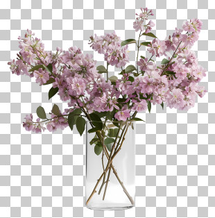 Vase - Glass Vase With Pink Flowers PNG