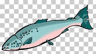 Porpoise Animal Marine Biology Marine Mammal PNG