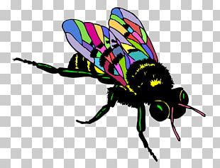 European Dark Bee Black And White Drawing PNG