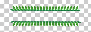 Line Green Euclidean PNG