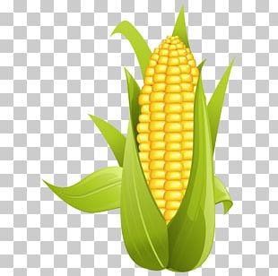 corn png