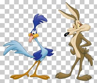 Wile E. Coyote And The Road Runner Cartoon Looney Tunes PNG, Clipart ...